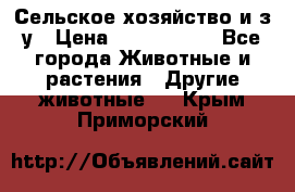 Сельское хозяйство и з/у › Цена ­ 2 500 000 - Все города Животные и растения » Другие животные   . Крым,Приморский